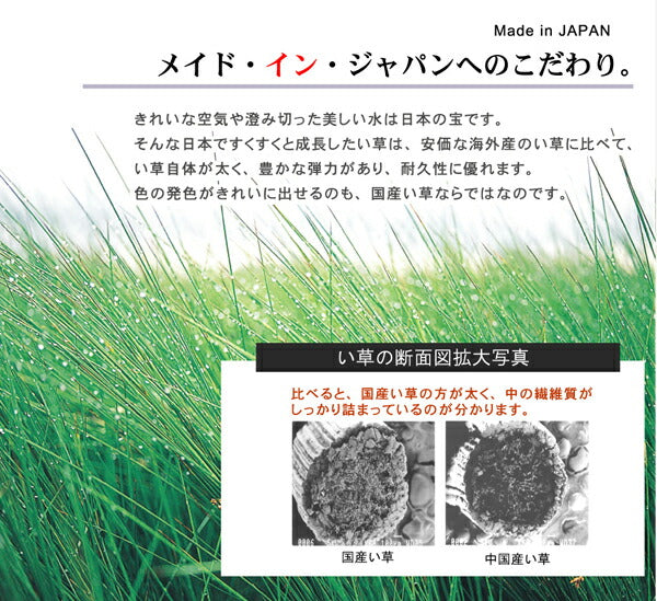 国産 い草玄関マット 袋織 デニム『Fラルフ』約60×90cm【メーカー直送商品】