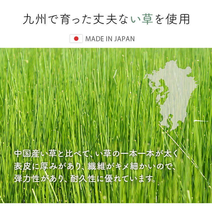 玄関マット 室内 おしゃれ マット い草ラグ 日本製 抗菌防臭 日本製 滑り止め ウレタン 新生活 ラグマット 北欧調 おすすめ 約70×120cm 【メーカー直送商品】☆
