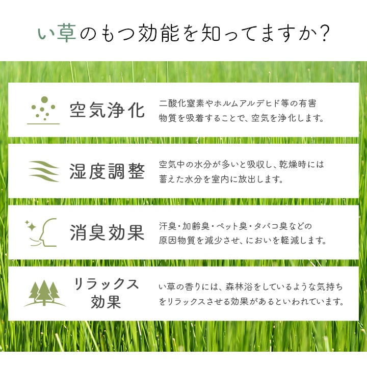 玄関マット 室内 おしゃれ マット い草ラグ 日本製 抗菌防臭 日本製 滑り止め ウレタン 新生活 ラグマット 北欧調 おすすめ 約70×120cm 【メーカー直送商品】☆