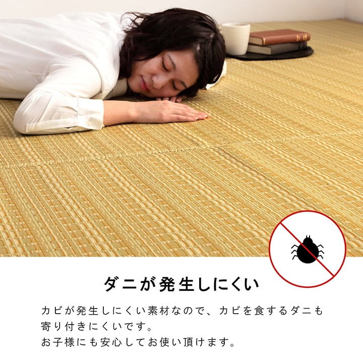 洗える カーペット ダイニング ラグ 敷詰 丈夫 日本製 国産 除菌スプレー対応 ござ アウトドア ペット 団地間6畳(約255×340cm) 【メーカー直送商品】☆