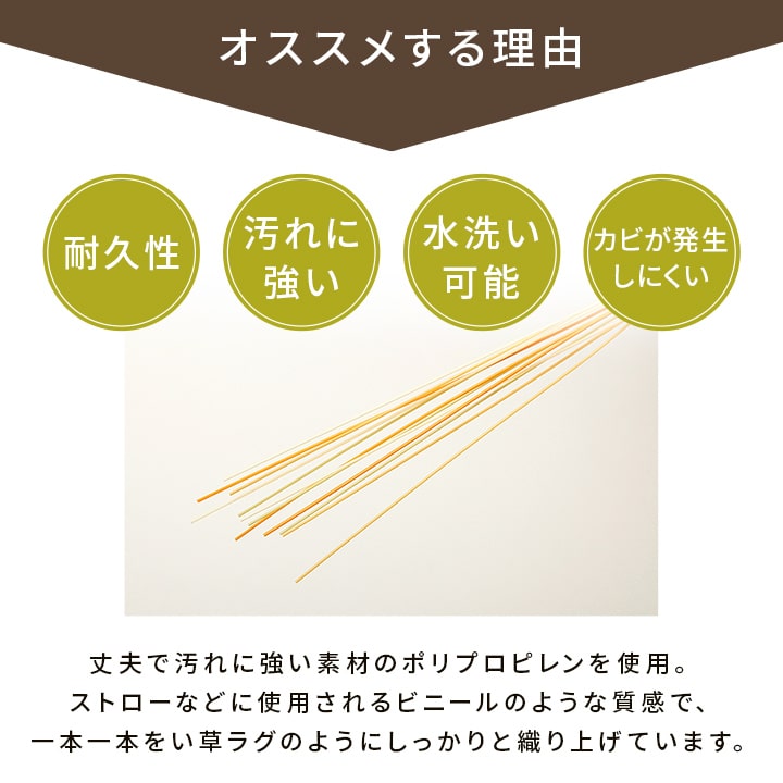 洗えるござ 日本製 江戸間10畳【メーカー直送商品】