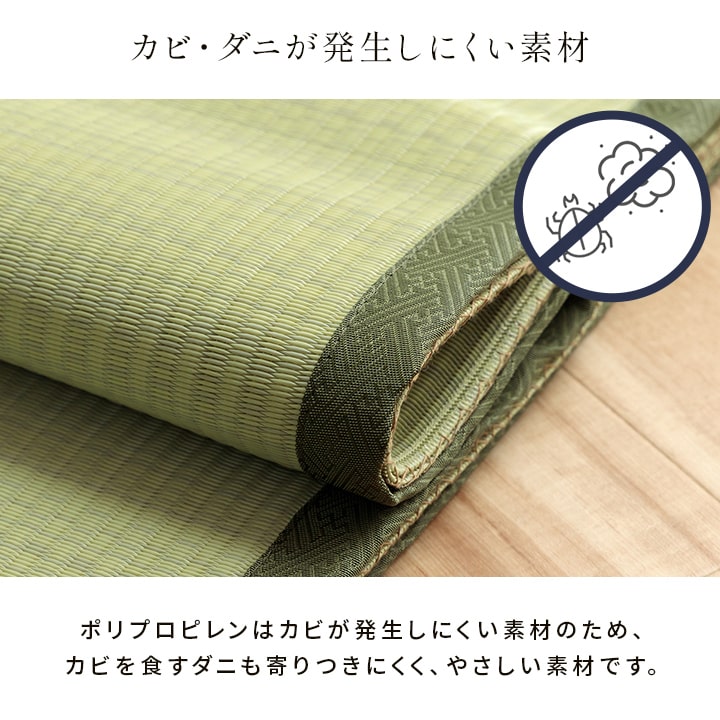 洗える ござ 日本製 国産 カーペット 丈夫 除菌スプレー対応 敷詰 ラグ 敷物 ペット 無地 江戸間1畳(約87×174cm) 【メーカー直送商品】☆