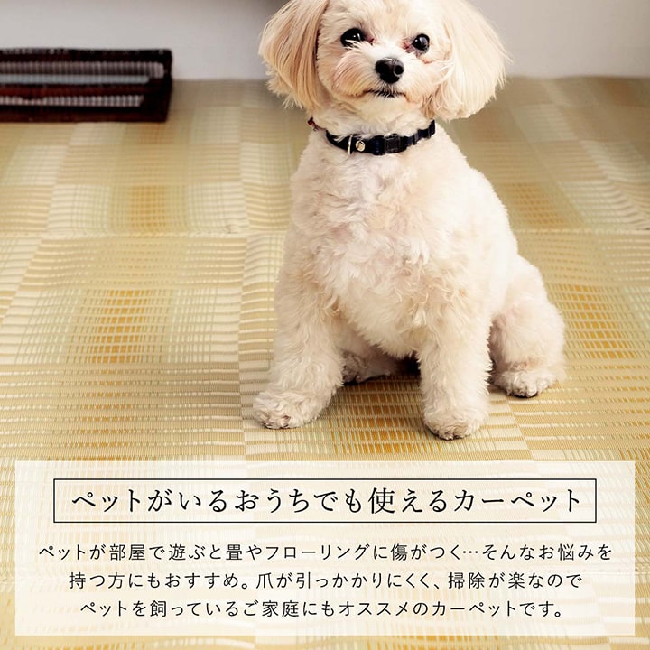 洗える ござ 日本製 国産 カーペット 丈夫 除菌スプレー対応 敷詰 ラグ 敷物 アウトドア レジャー ペット 本間1畳(約95.5×191cm) 【メーカー直送商品】☆