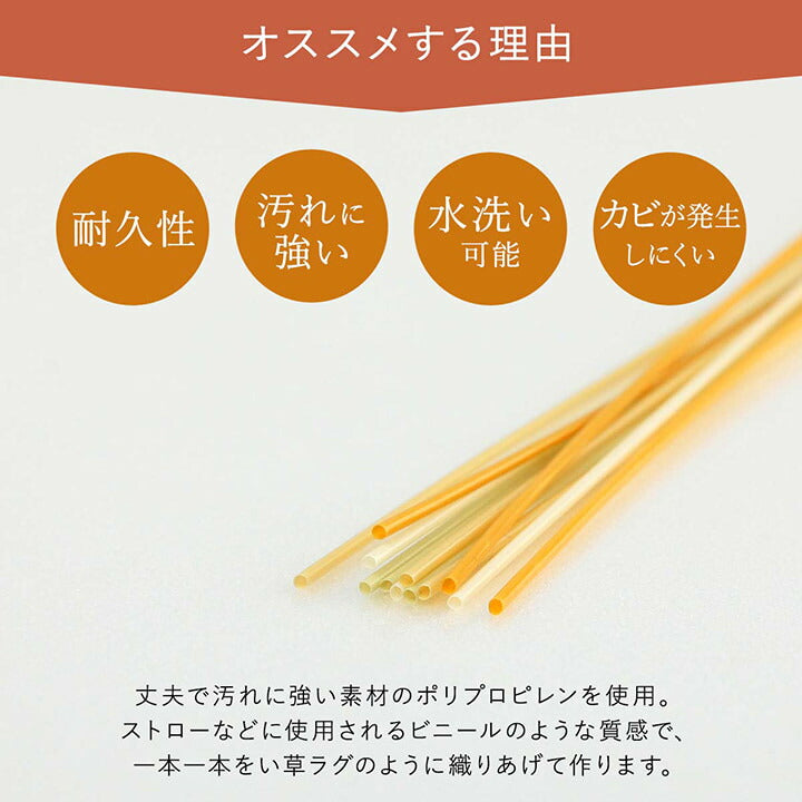 洗える ござ 日本製 国産 カーペット 丈夫 除菌スプレー対応 敷詰 ラグ 敷物 アウトドア レジャー ペット 本間1畳(約95.5×191cm) 【メーカー直送商品】☆