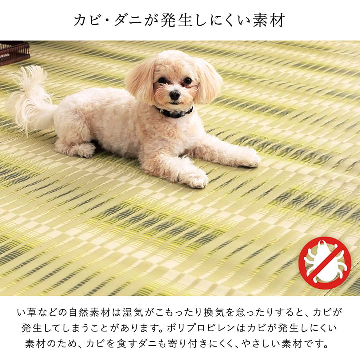 洗える ござ 日本製 国産 カーペット 丈夫 除菌スプレー対応 敷詰 ラグ 敷物 アウトドア レジャー ペット 本間1畳(約95.5×191cm) 【メーカー直送商品】☆