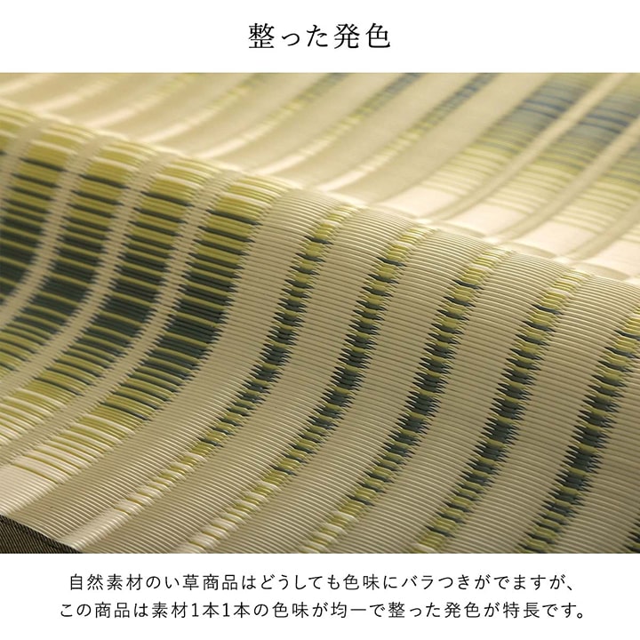 洗える ござ 日本製 国産 カーペット 丈夫 除菌スプレー対応 敷詰 ラグ 敷物 アウトドア レジャー ペット 本間1畳(約95.5×191cm) 【メーカー直送商品】☆