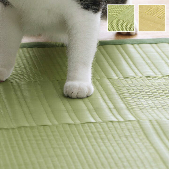 洗えるカーペット アウトドア 約261×261cm【メーカー直送商品】