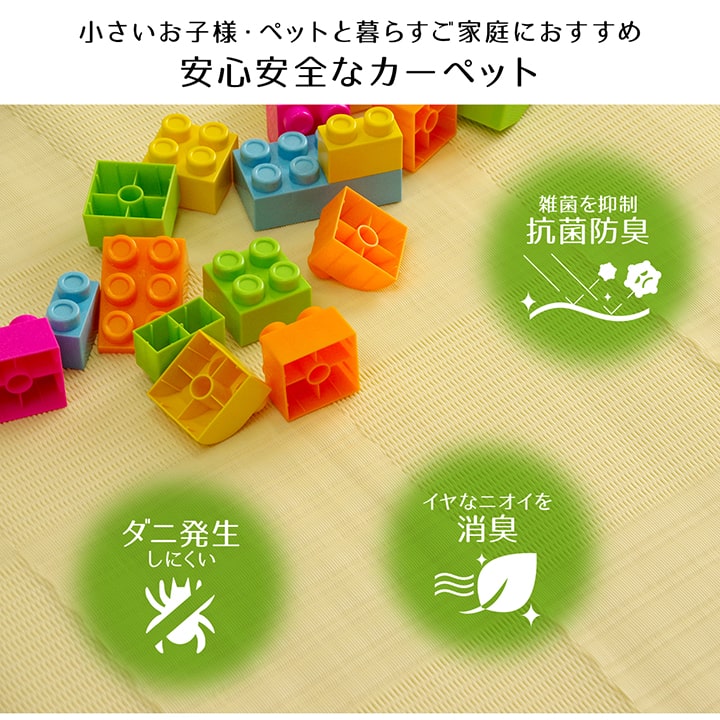 ラグ 洗える カーペット 日本製 国産 抗菌 防臭 消臭 アウトドア レジャー 敷物 和室 シンプル 江戸間10畳(約435×352cm) 【メーカー直送商品】☆