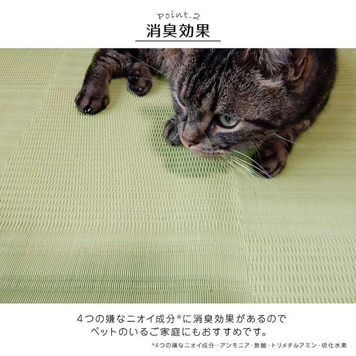ラグ 洗える カーペット 日本製 国産 抗菌 防臭 消臭 アウトドア レジャー 敷物 和室 シンプル 江戸間10畳(約435×352cm) 【メーカー直送商品】☆
