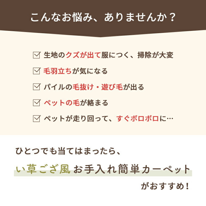 洗えるござ 日本製 江戸間2畳【メーカー直送商品】