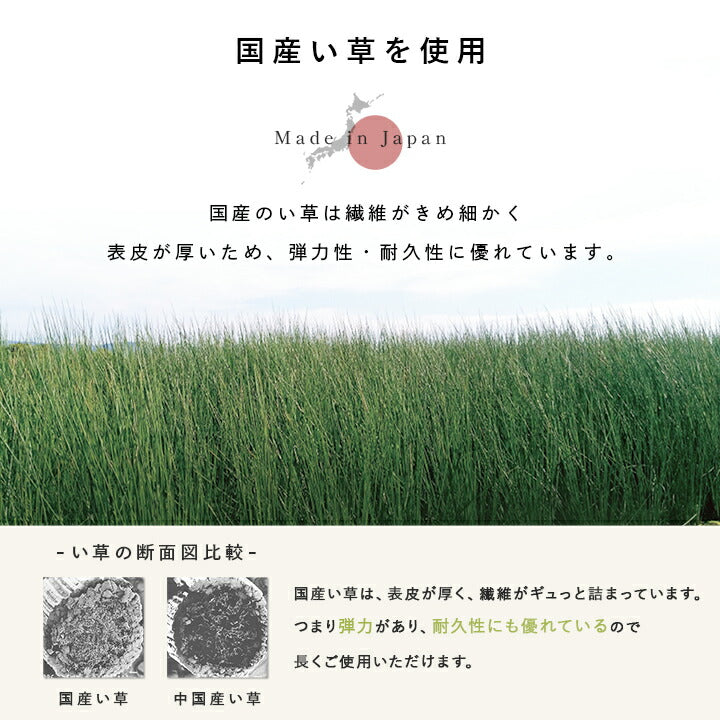 置き畳 国産 い草 ベビー 約70×70cm 単品【メーカー直送商品】