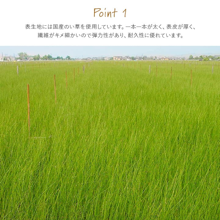 撥水 国産 い草 日本製 置き畳 ユニット畳 簡単 和室 ナチュラル 約88×88cm 単品 【メーカー直送商品】☆