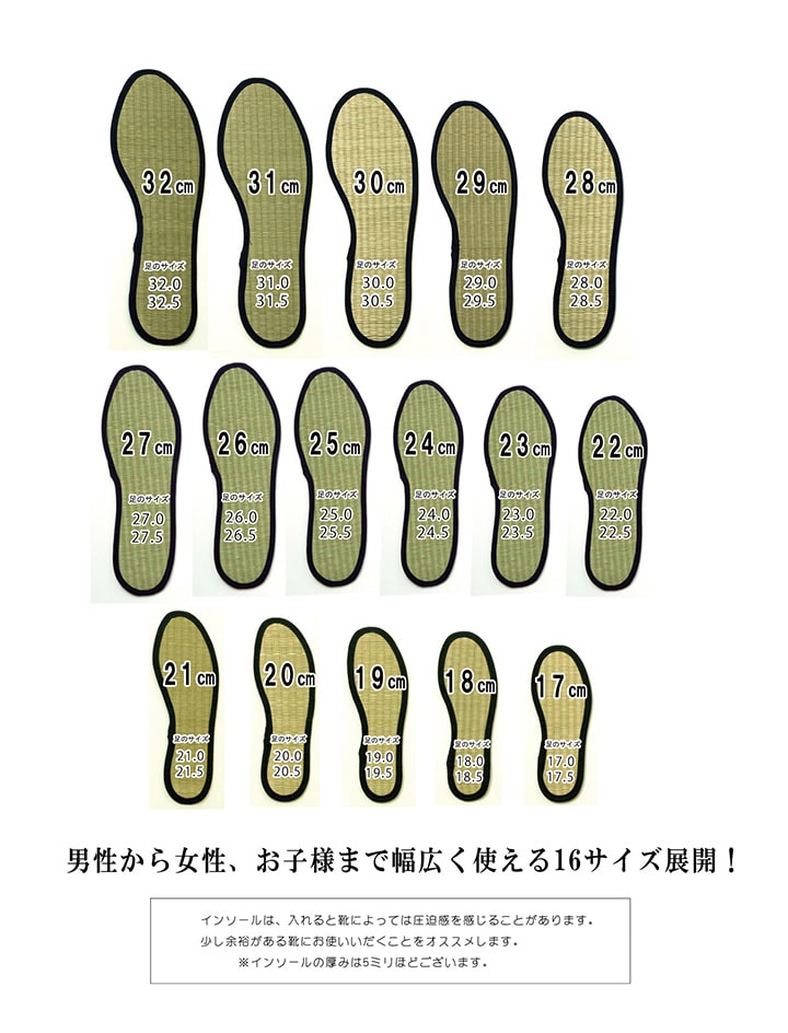 インソール 日本製 靴 防臭 シューズ 中敷き メンズ レディース キッズ 消臭 抗菌 『い草インソール』 約17cm~32cm 【メーカー直送商品】☆