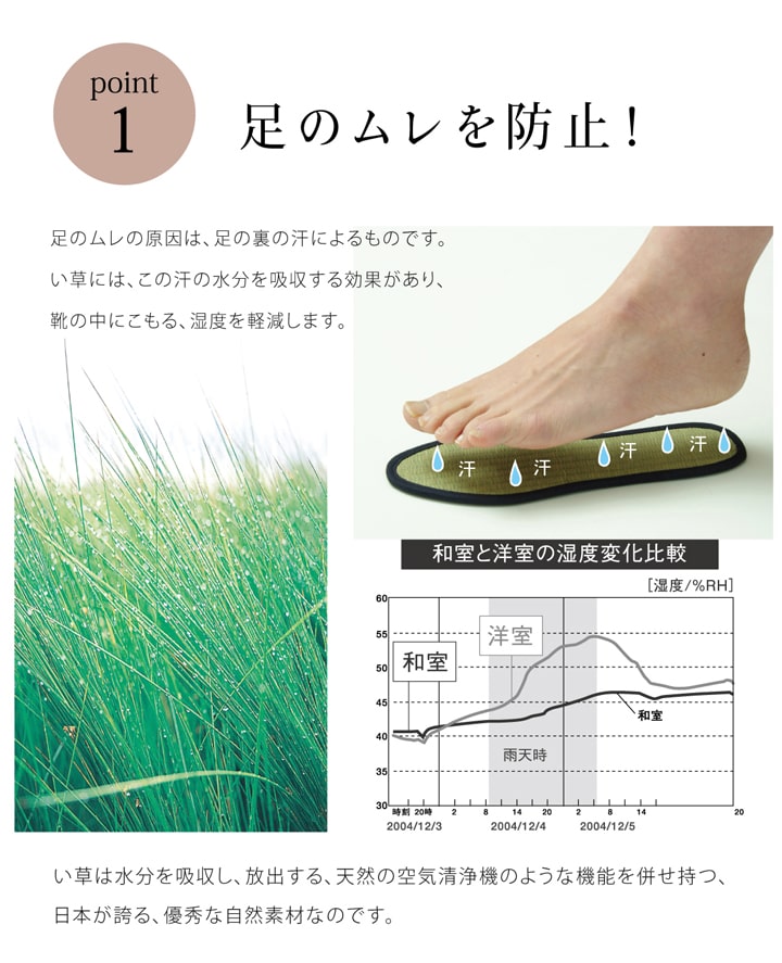 インソール 日本製 靴 防臭 シューズ 中敷き メンズ レディース キッズ 消臭 抗菌 『い草インソール』 約17cm~32cm 【メーカー直送商品】☆