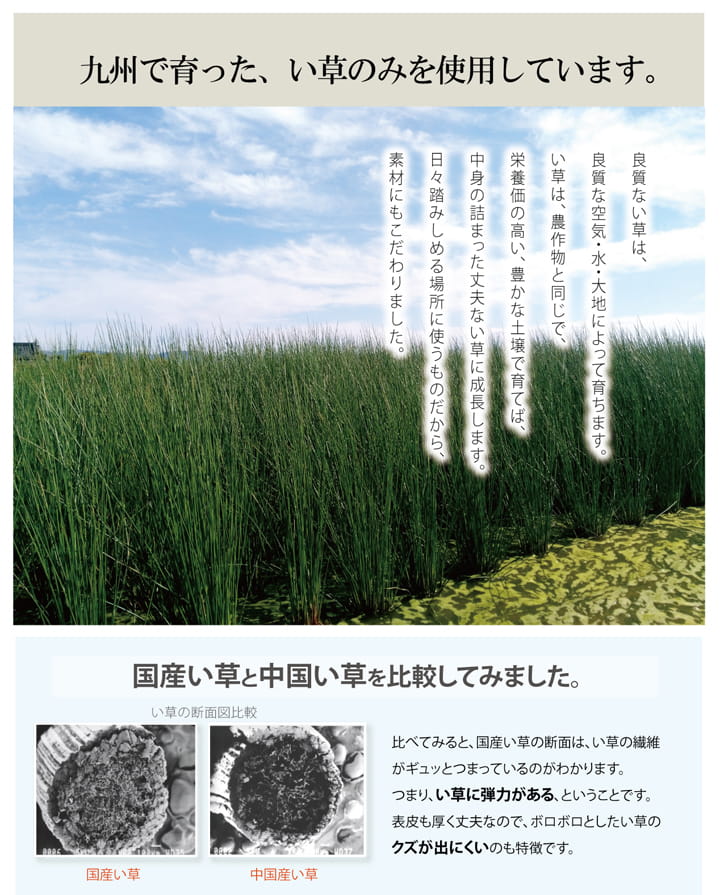 インソール 日本製 靴 防臭 シューズ 中敷き メンズ レディース キッズ 消臭 抗菌 『い草インソール』 約17cm~32cm 【メーカー直送商品】☆
