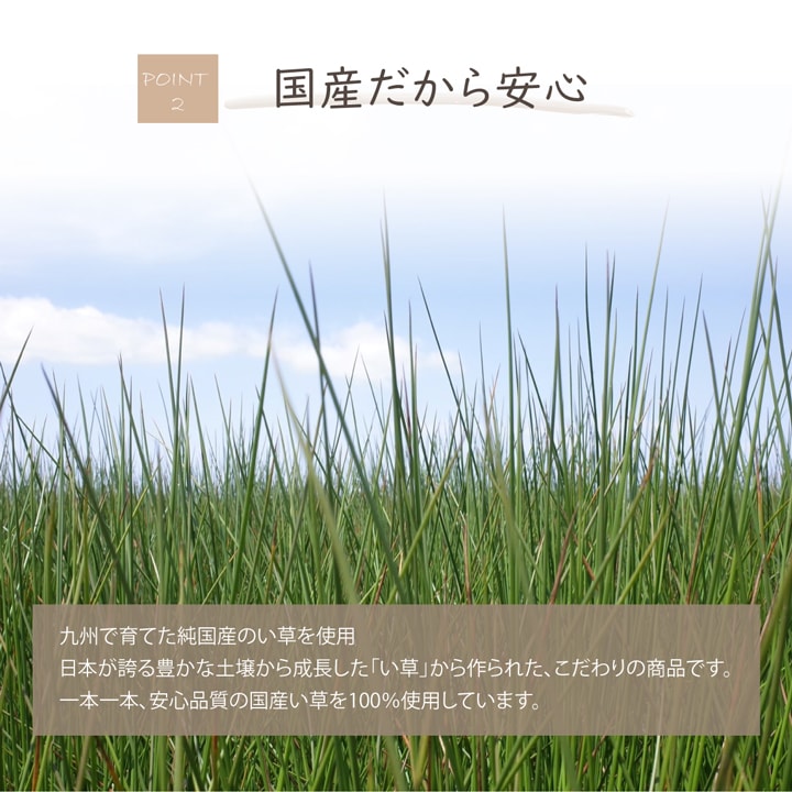 日本製 国産 消臭剤 い草 天然素材 デオグラス 帯白 約10×6.5cm丸 【メーカー直送商品】☆