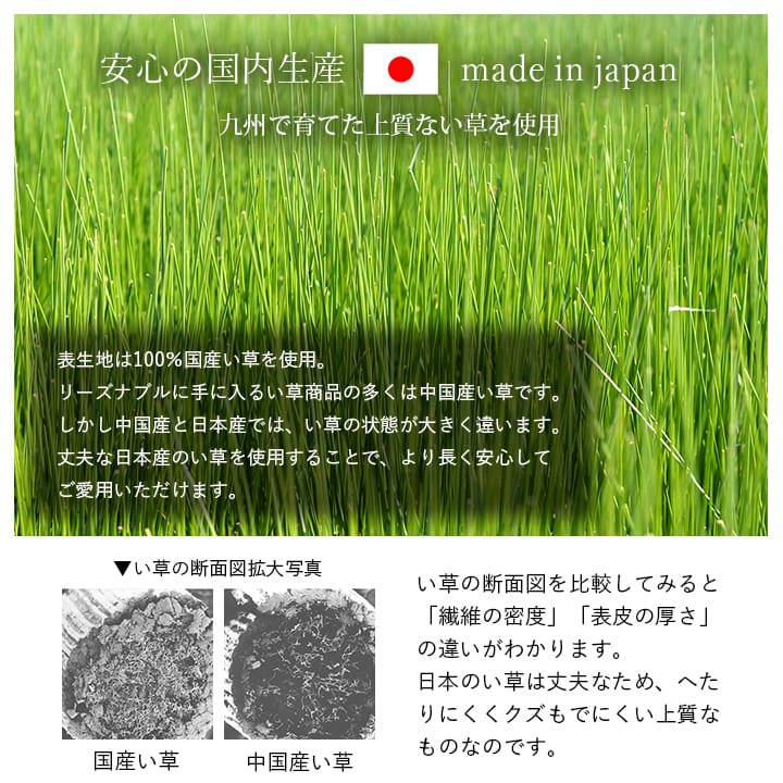 枕 平枕 い草 50×30cm【メーカー直送商品】