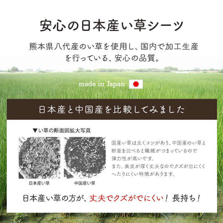 シーツ い草 88×180cm【メーカー直送商品】