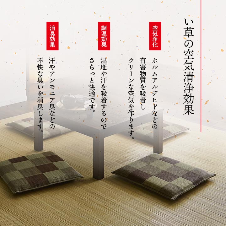 日本製 い草 座布団 クッション ブロック柄 2枚組 約55×55cm 【メーカー直送商品】☆