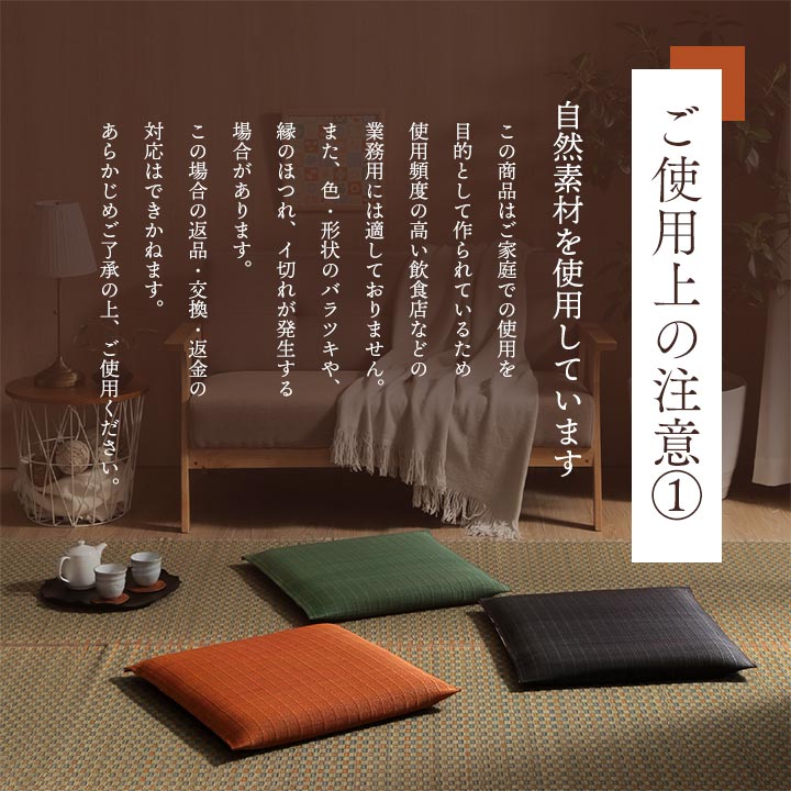 座布団 い草座布団 日本製 抗菌防臭 消臭 湿度調整 蒸れにくい 涼しい モダン 無地 2枚組 55×55cm 【メーカー直送商品】☆