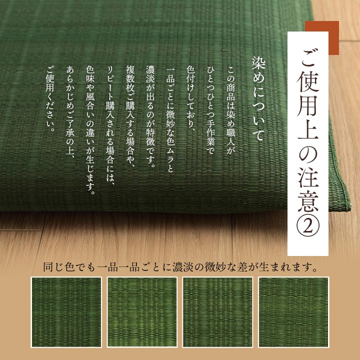 座布団 い草座布団 日本製 抗菌防臭 消臭 湿度調整 蒸れにくい 涼しい モダン 無地 2枚組 55×55cm 【メーカー直送商品】☆