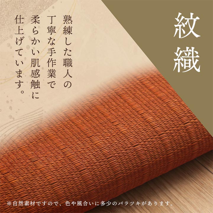 座布団 い草座布団 日本製 抗菌防臭 消臭 湿度調整 蒸れにくい 涼しい モダン 無地 2枚組 55×55cm 【メーカー直送商品】☆