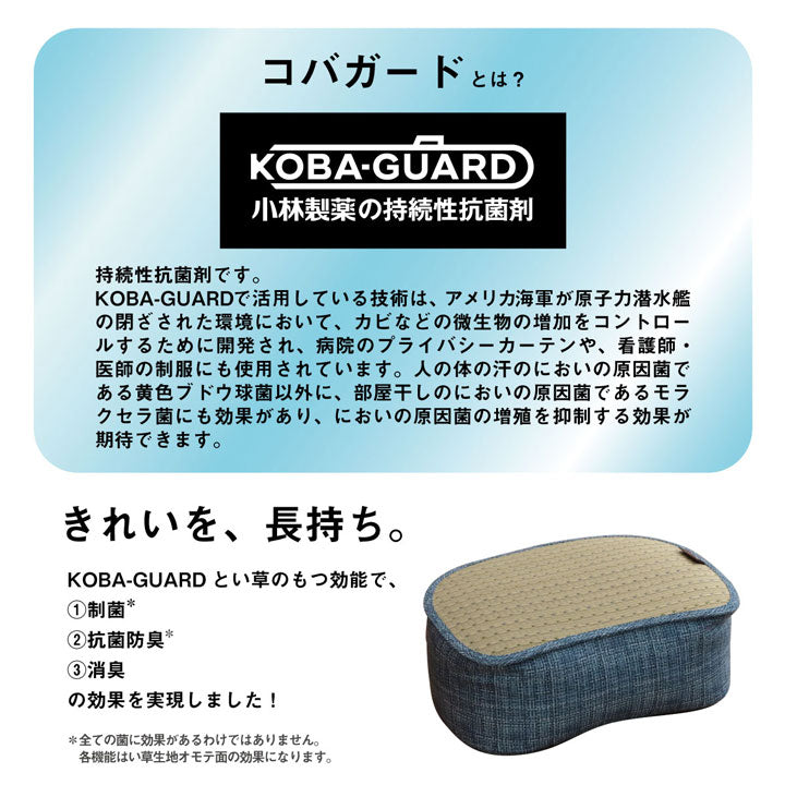 クッション くつろぎ リラックス スマホ い草 抗菌防臭 消臭 シンプル 小林製薬コバガード使用 約30×40×15cm 【メーカー直送商品】☆