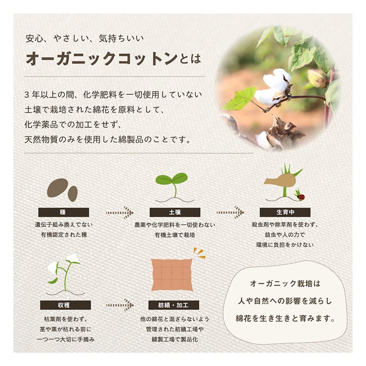 クッション シート リビング 日本製 オーガニックコットン 綿100% 無地 洗える ベージュ 約40×50cm クララ ラクラクシート かわいい【メーカー直送商品】☆