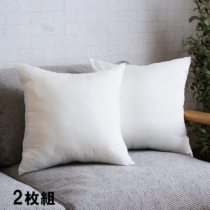 ヌードクッション 洗える 日本製 2枚組【メーカー直送商品】