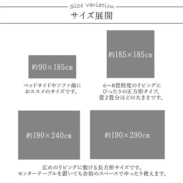 ラグ 長方形 手洗い ループパイル 高級感 おしゃれ 抗菌防臭 オーバーロック 滑りにくい加工 約4畳 約190×290cm 床暖房 ホットカーペット対応 【メーカー直送商品】☆