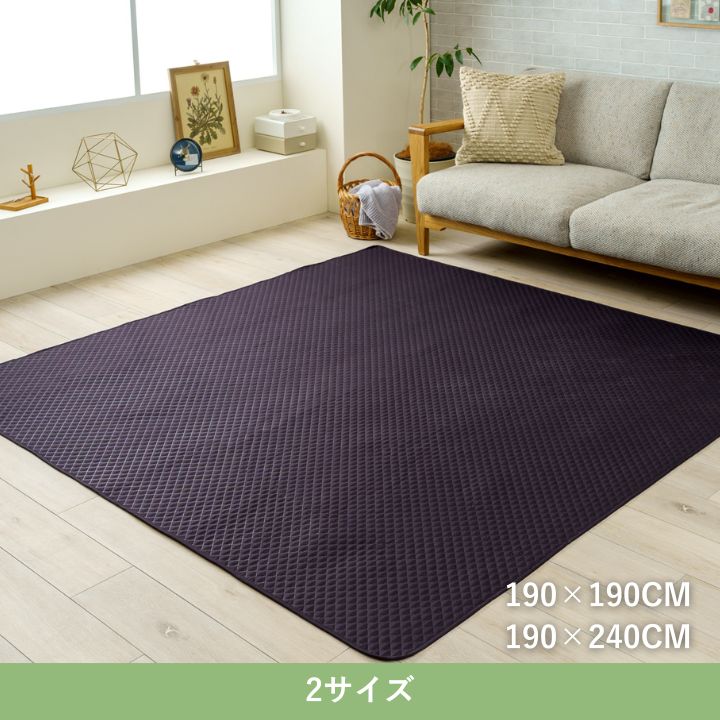 『エスナ』190×240cm ソファカバー 【メーカー直送商品】