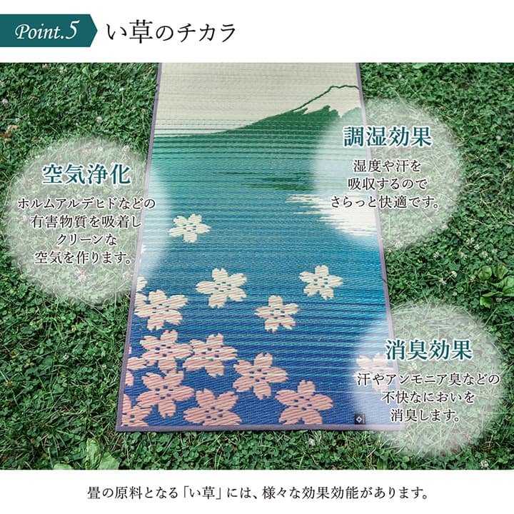 ヨガ 癒しマット 国産 い草『SAKURA富士』約60×180cm【メーカー直送商品】
