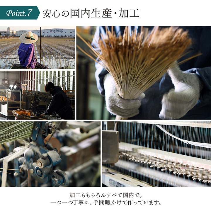 ヨガ 癒しマット 国産 い草『SAKURA富士』約60×180cm【メーカー直送商品】