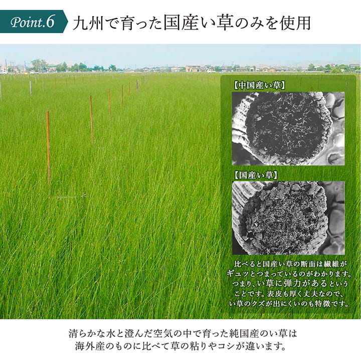 ヨガ 癒しマット 国産 い草『スカイシー』約66×185cm【メーカー直送商品】