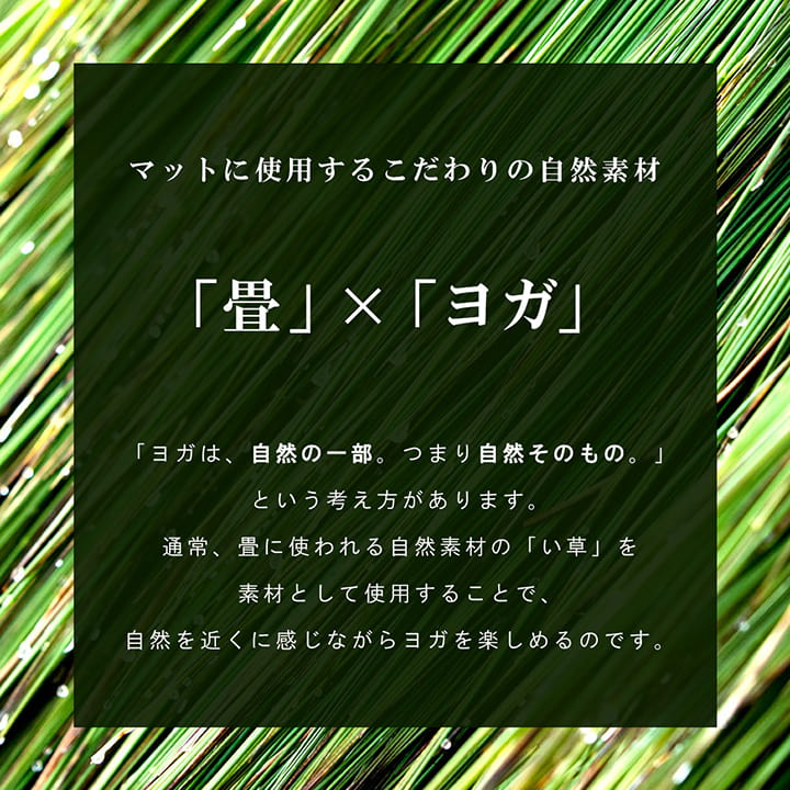 ヨガ 癒しマット 国産 い草『チャクラ』約66×185cm【メーカー直送商品】