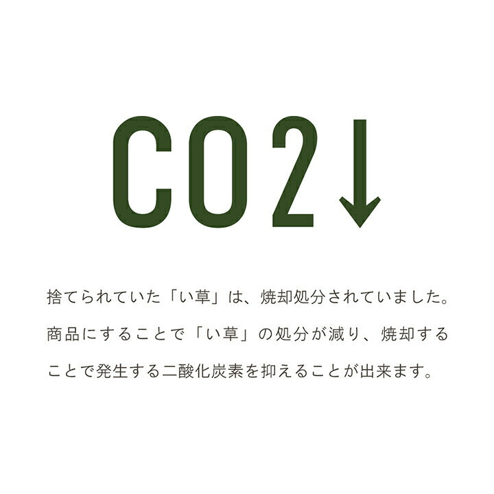 サスティナブル 自然素材 国産 い草 置物 60cm【メーカー直送商品】