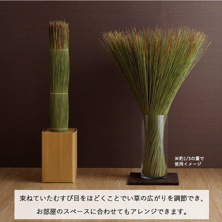 国産 日本製 い草 インテリア オブジェ 消臭 空気清浄 ナチュラル 植物 置物 95×10cm 【メーカー直送商品】☆