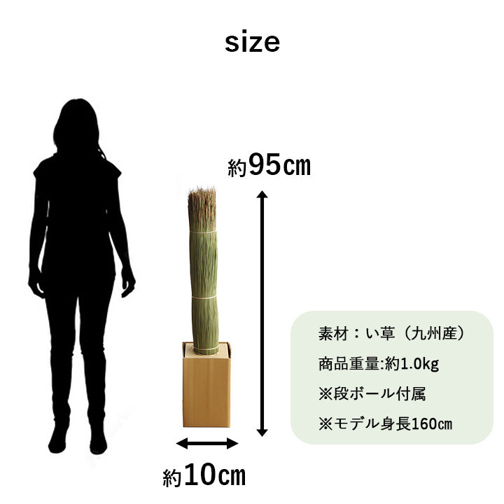 国産 日本製 い草 インテリア オブジェ 消臭 空気清浄 ナチュラル 植物 置物 95×10cm 【メーカー直送商品】☆