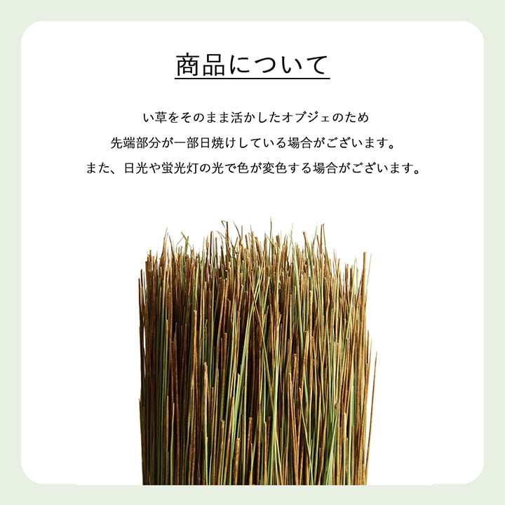 国産 日本製 い草 インテリア オブジェ 消臭 空気清浄 ナチュラル 植物 置物 95×10cm 【メーカー直送商品】☆