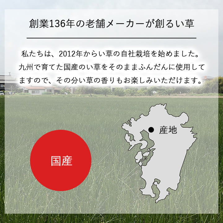国産 日本製 い草 インテリア オブジェ 消臭 空気清浄 ナチュラル 植物 置物 95×10cm 【メーカー直送商品】☆