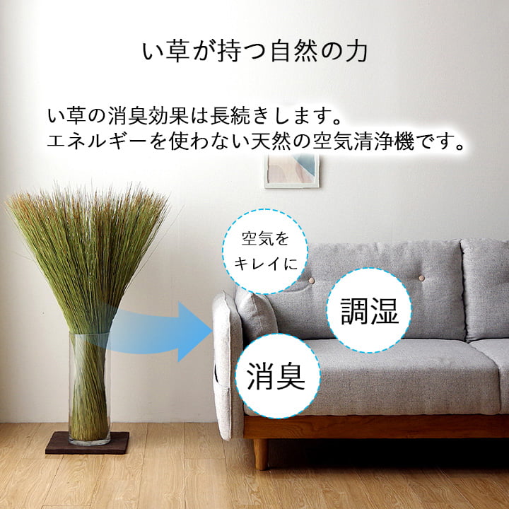 国産 日本製 い草 インテリア オブジェ 消臭 空気清浄 ナチュラル 植物 置物 95×10cm 【メーカー直送商品】☆