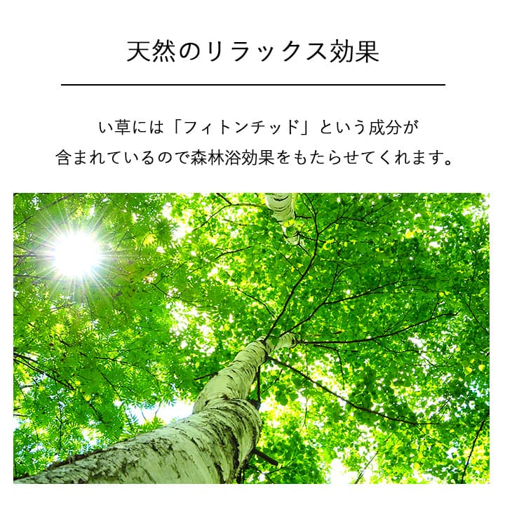 国産 日本製 い草 インテリア オブジェ 消臭 空気清浄 ナチュラル 植物 置物 95×10cm 【メーカー直送商品】☆
