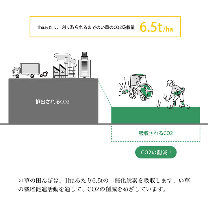 い草 リース 雑貨 飾り 消臭効果 リッラクス効果 アレンジ 約20cm丸 【メーカー直送商品】☆