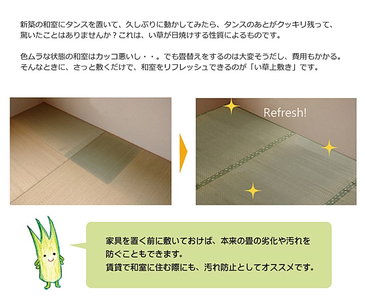 純国産 い草 上敷き カーペット 市松織 『不知火』 三六間8畳(約364×364cm) 熊本県八代産イ草使用 【メーカー直送商品】☆
