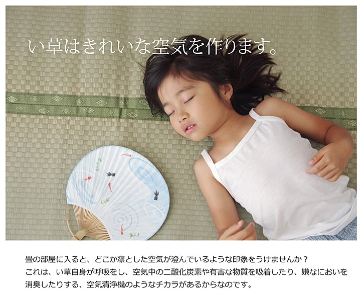 い草カーペット 市松織『不知火』約477×382cm【メーカー直送商品】