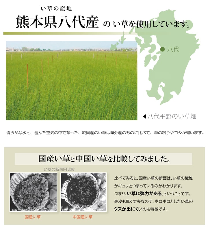フリーカット い草 上敷き カーペット 『F不知火』 本間8畳(約382×382cm)(裏:ウレタン張り) 【メーカー直送商品】☆