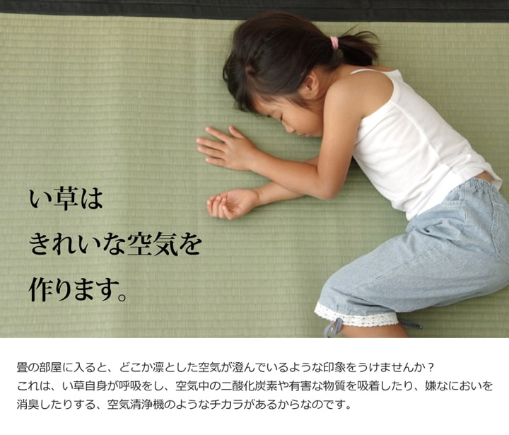 純国産 い草 上敷き カーペット 麻綿織 『清正』 本間1畳(約95×191cm) 熊本県八代産イ草使用 【メーカー直送商品】☆