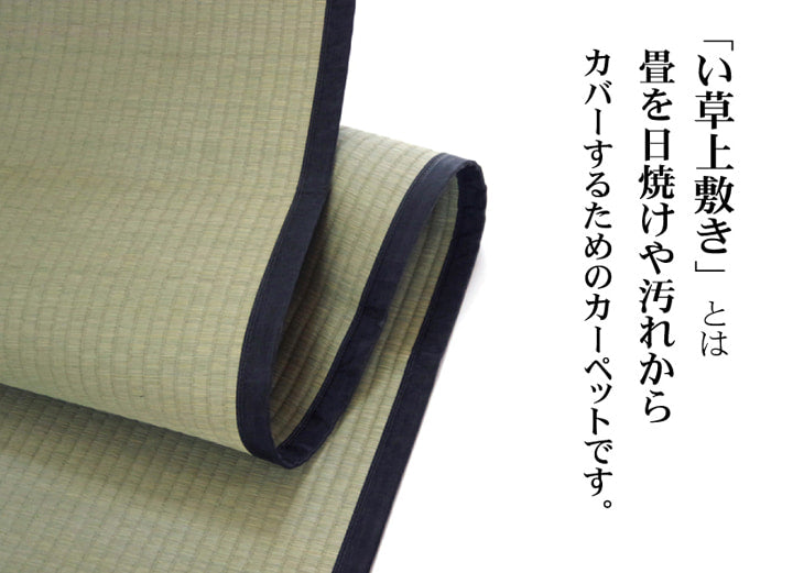 純国産 い草 上敷き カーペット 麻綿織 『清正』 本間1畳(約95×191cm) 熊本県八代産イ草使用 【メーカー直送商品】☆
