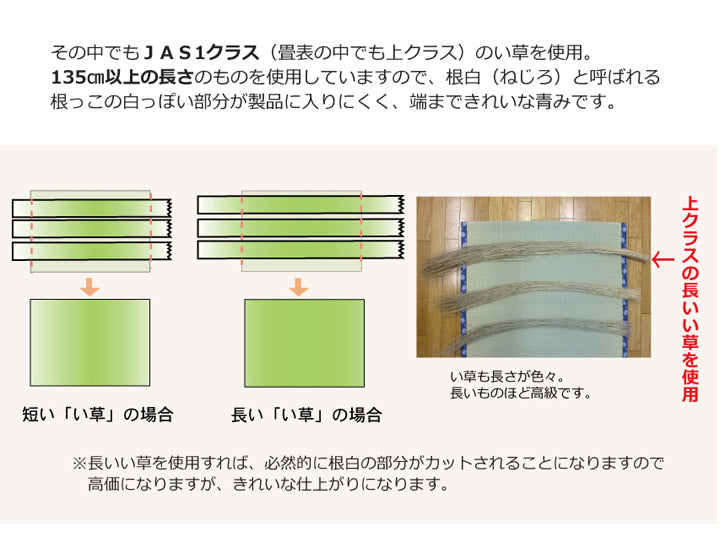 純国産 い草 上敷き カーペット 麻綿織 『清正』 本間8畳(約382×382cm) 熊本県八代産イ草使用 【メーカー直送商品】☆