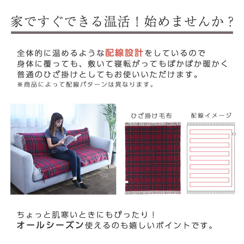 電気毛布 ひざ掛け 日本製 ワイド 約160×120cm 椙山紡織 Sugibo